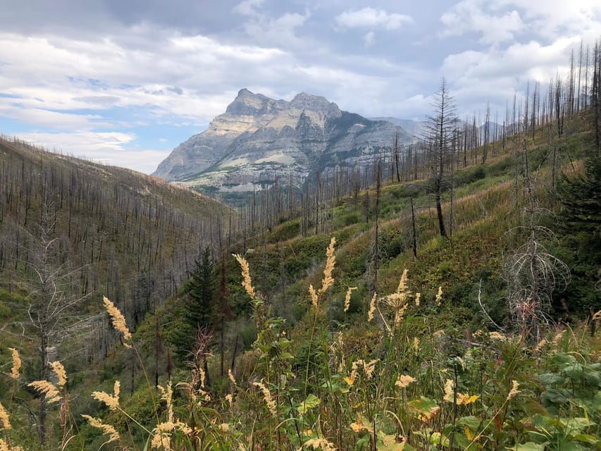 Waterton Lakes National Park: Bertha Lake Hike - Activity Overview