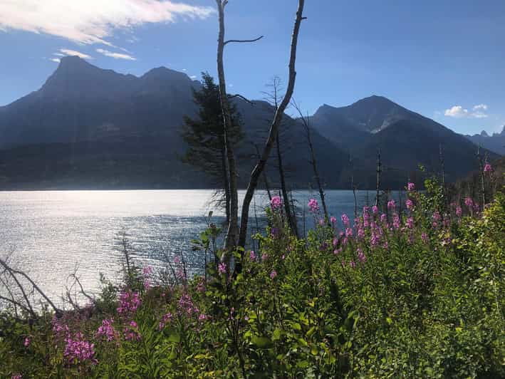 Waterton Lakes National Park: Boundary Bay Hike - Overview and Pricing