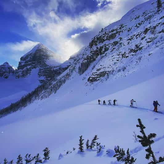 Weekday Warrior Ski and Splitboard