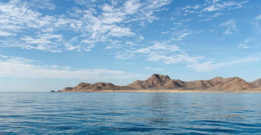 WHALE WATCHING LA VENTANA PRIVATE TOUR