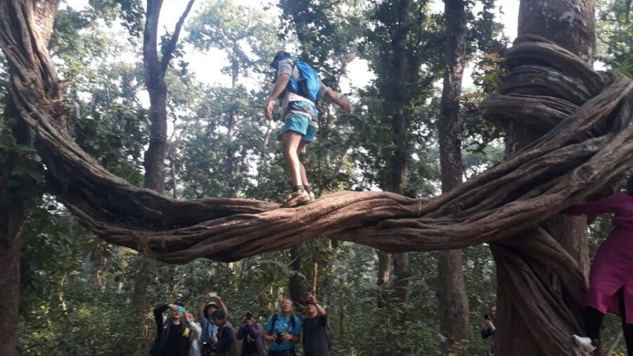 Wildlife: 3 Days Chitwan National Park Tour From Kathmandu