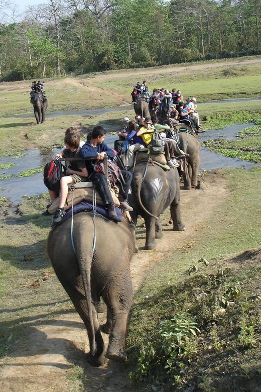 2 Nights 3 Days Chitwan Jungle Safari Package All Inclusive