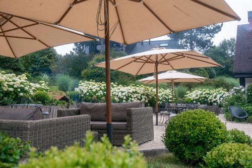 César's Pines - The Campaign of Étretat - Amenities and Facilities