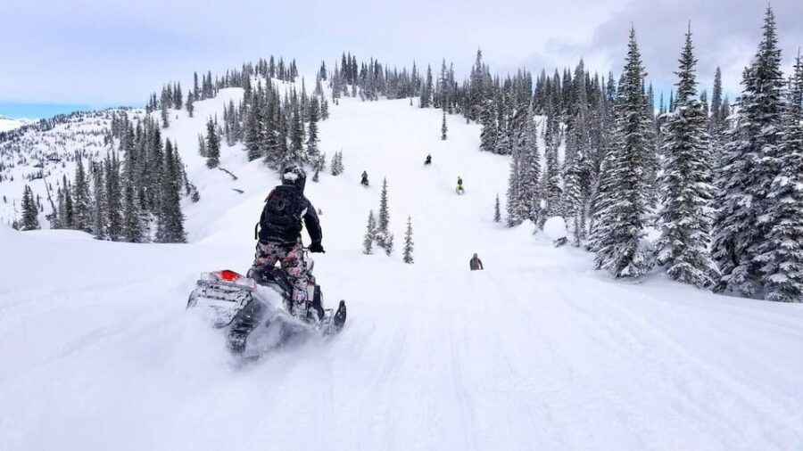 Explore the Depths of the Canadian Forest in Snowmobile - Adventure Overview