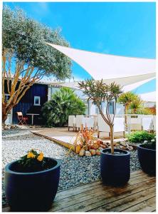 Hotel Napoleon - Accommodations and Amenities