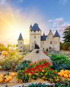 Hotel of the Château Du Rivau - Dining Experience