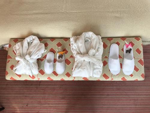 Hotel Recamier - Room Features