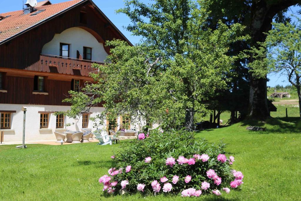 Le Tillau - Accommodation Options