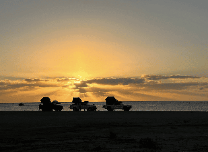 Los Cabos: Immersive 3-Day Desert Adventure