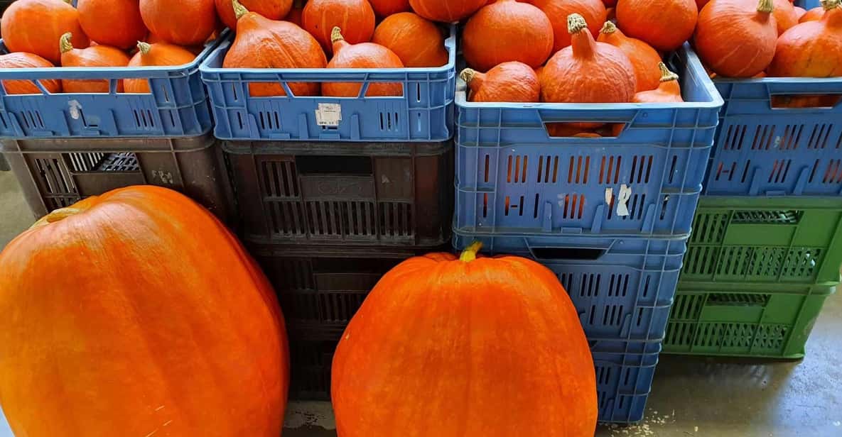 Prague: Famous Markets of Prague Tour - Itinerary Highlights