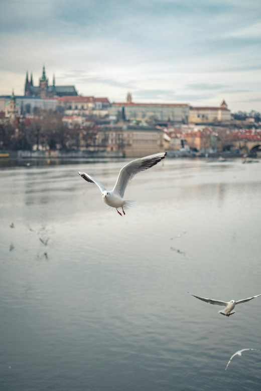 PRAGUE PRIVATE BOOZE CRUISE - Pricing and Group Size