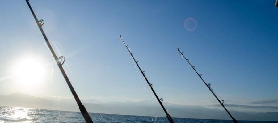 Puerto Vallarta: Shared Fishing - Overview of the Activity