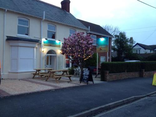 Seashells Beach Hotel - Location and Accessibility