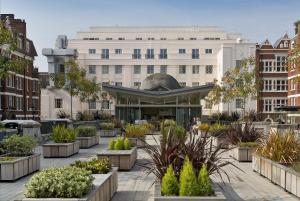 The Beaumont Hotel - Accommodation and Amenities