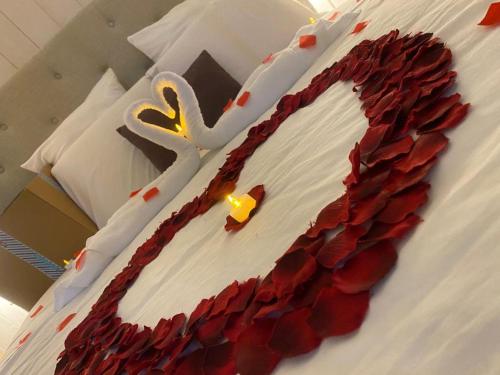 Domain the 2 Worlds - Amenities and Services Offered