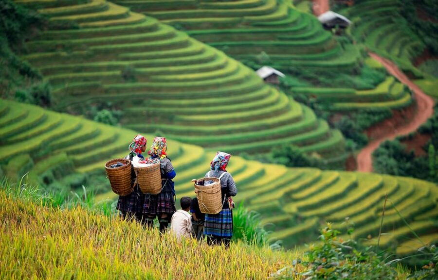 From Hanoi: Mai Chau Full Day - Group Tour - Overview of the Tour