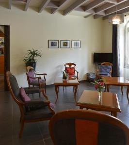 Hotel and Apartments the Plane Trees - Guest Reviews and Feedback