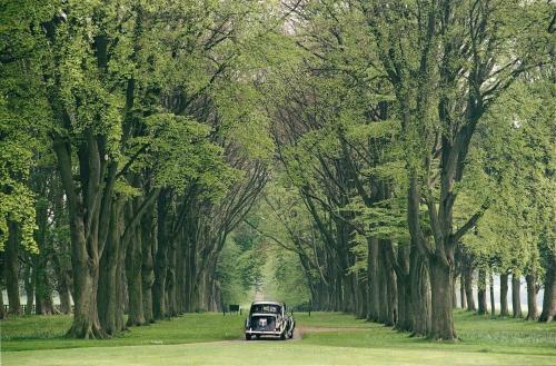 Lucknam Park Hotel - Guest Experience and Reviews