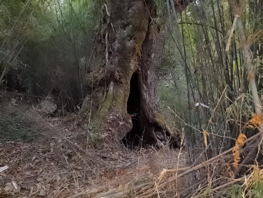 Sikles Adventure: Exploring Krapudanda & Khwolasothar