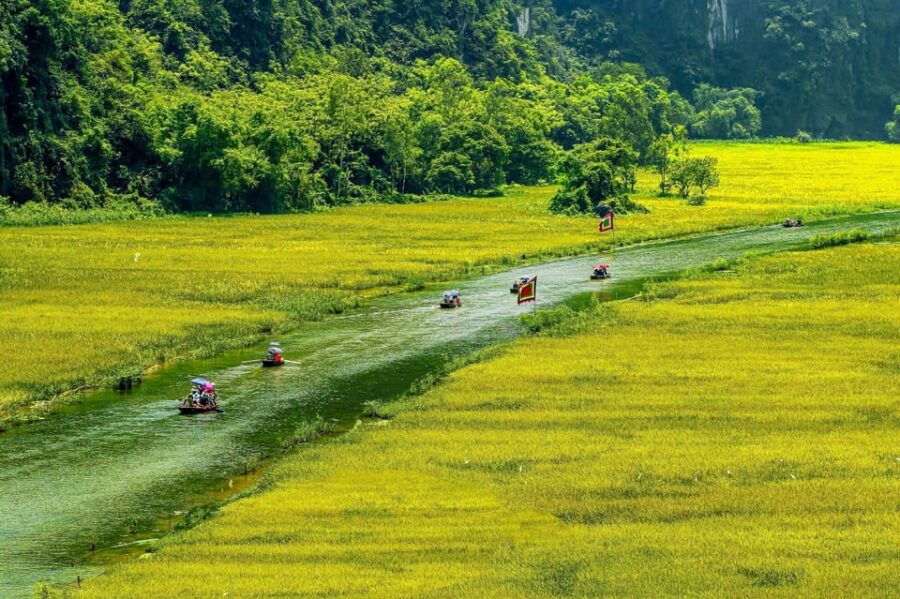 Small Group Tour From Hanoi: Hoa Lu -Tam Coc- Local Family
