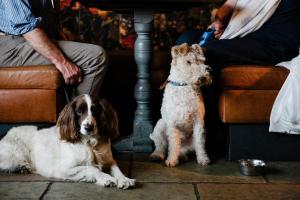 The Joiners Arms - Accommodation Options
