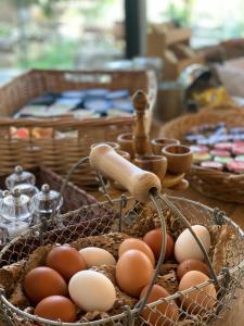 Auberge U Mulinu - Activities and Amenities Offered