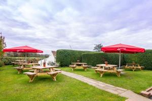 Black Horse Inn - Dining Experience