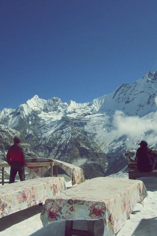 From Pokhara: 5 Day Annapurna Basecamp Trek With Local Guide - Overview of the Trek