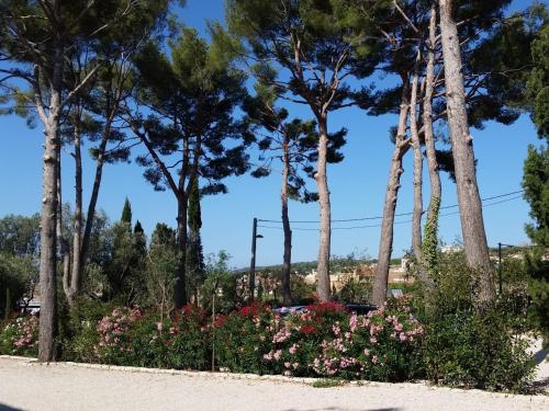 HPC Suites - Free Parking & Heated Pool - On-Site Amenities