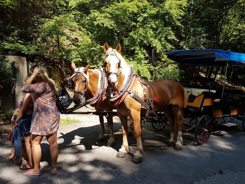 KarlšTejn Castle by Horse Carriage - Highlights of the Ride