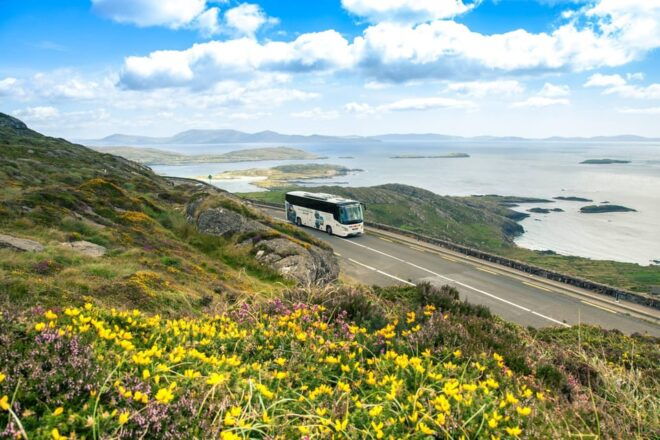 Killarney: Ring of Kerry Bus Tour - Scenic Route Stops