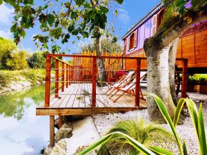 Logis the Nest of the Pont De Gau - Surrounding Attractions