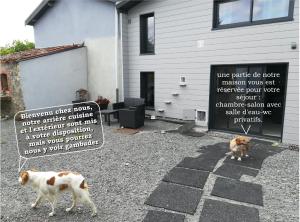 Natural Guest Apartments - Location and Attractions