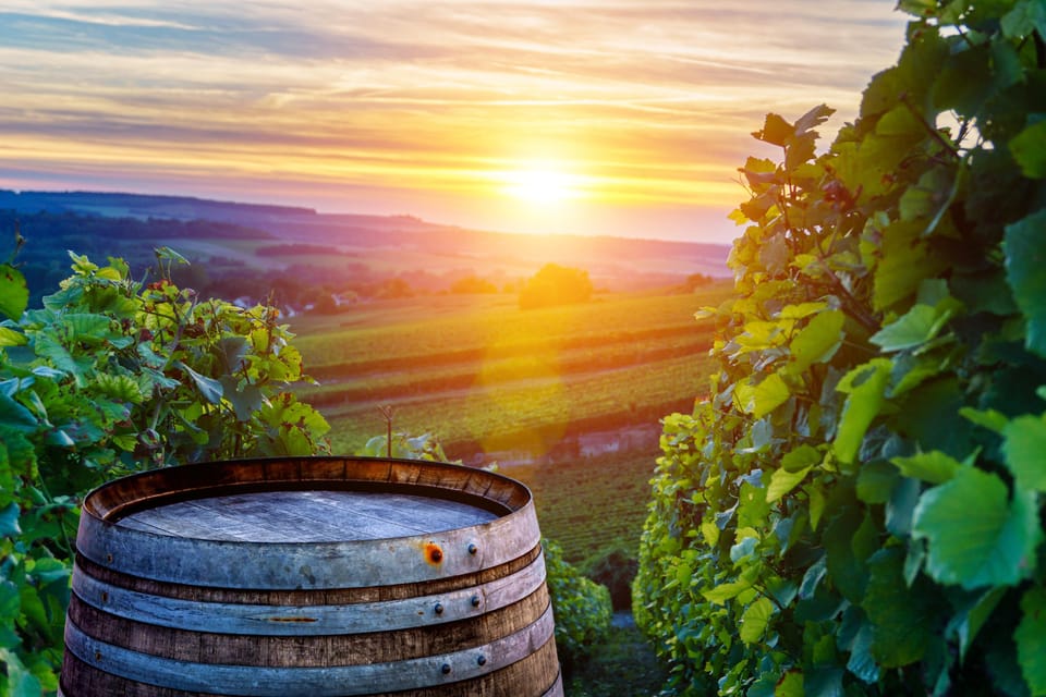 Private Day Trip From Vienna to Lednice, Valtice and Mikulov - Cultural Significance