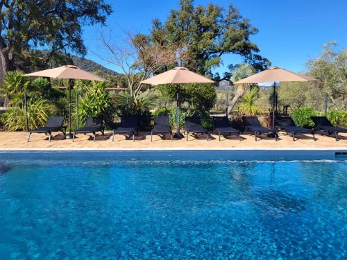 Reginu Domain - Guest Experiences