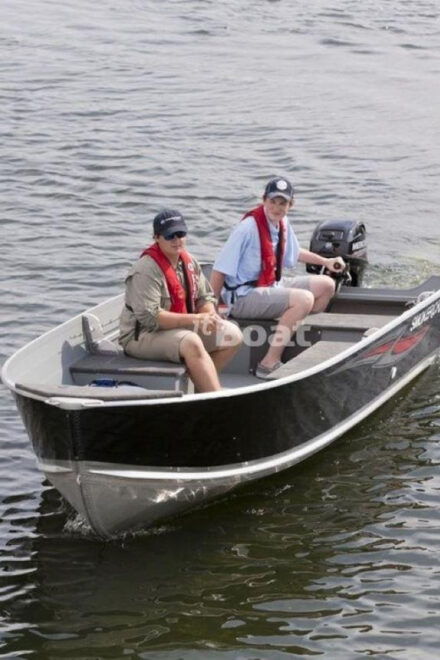 Belle River: StarCraft 14′ DLX Fishing Boat Rental - Fuel and Security Deposit