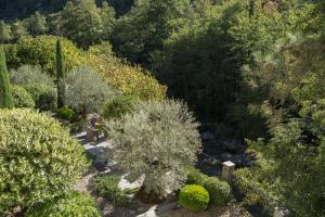 Dominique Colonna - Booking Information