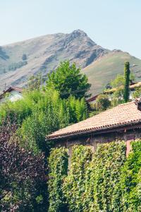 Hotel Arcé - Booking Information