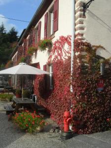 Hotel Du Haut Koenigsbourg - Between Vineyards and Castle - Dining and Breakfast Options