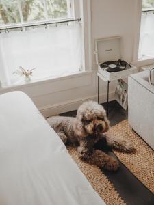 No 15 by GuestHouse, Bath - Wellness and Spa