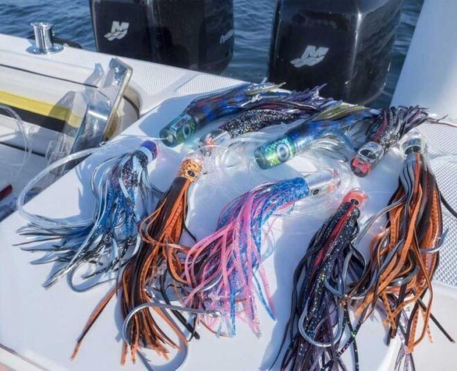 Puerto Vallarta: Fishing Cachi I 28′ - Location and Access