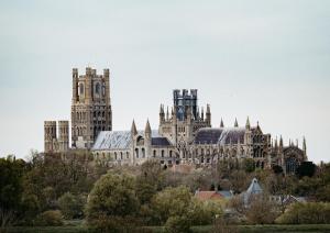The Old Hall Ely - Dining Options