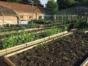 Chippenham Park Garden Rooms - Nearby Attractions and Activities