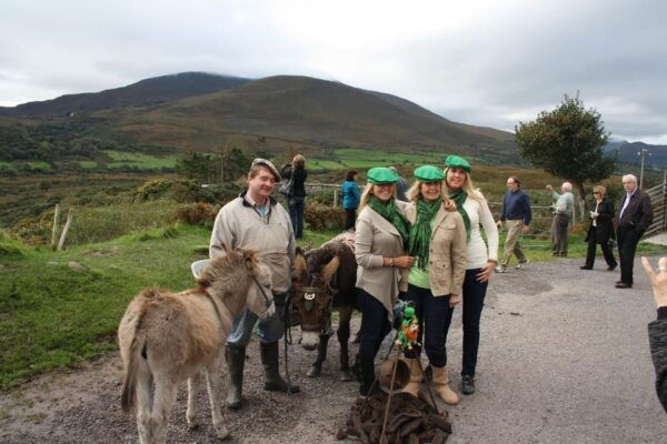 Killarney: Ring of Kerry Bus Tour - Dining Options