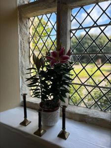 Moresby Hall Country House Hotel - Worth The Stay