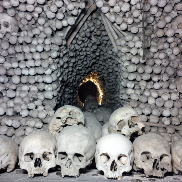 Private Tour to Kutná Hora - Customer Reviews and Feedback