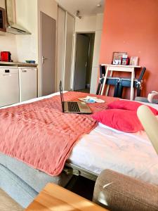 Revigora - Local Attractions