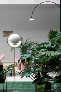 70 Hectares... and the Ocean - Transportation and Accessibility