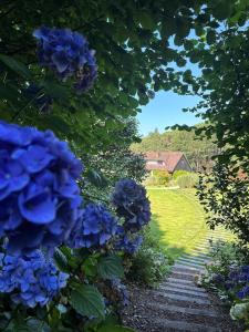 César's Pines - The Campaign of Étretat - How To Book Your Stay