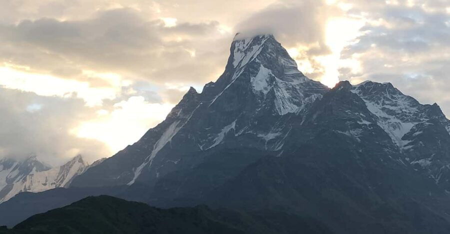 Exploring Mardi Himal: A 5-Day Trek Bird Watching Highlights - Trek Overview and Highlights